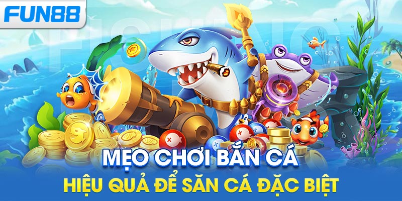 Mẹo chơi bắn cá hiệu quả để săn cá đặc biệt